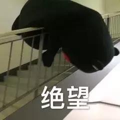 深层毛孔换季毛孔问题愈演愈烈,改善皮肤毛孔的正确方法