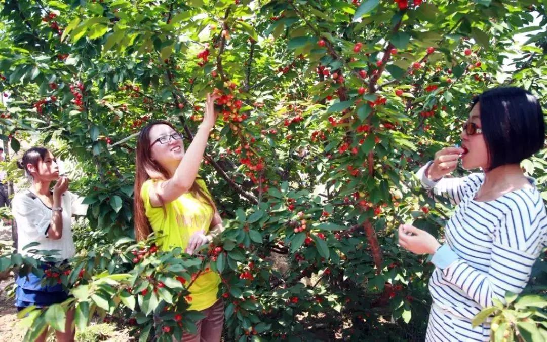 乳山旅游特色村落,山东威海乳山暑假旅游