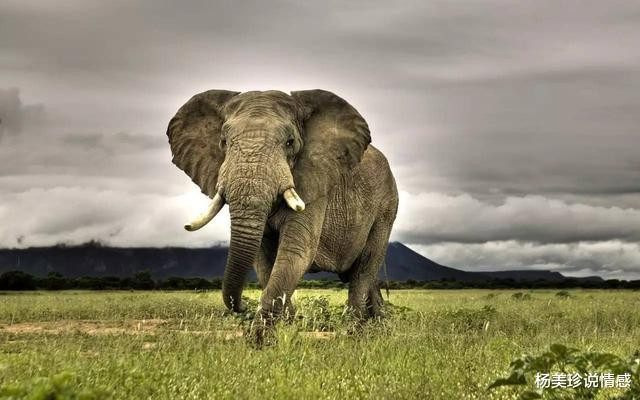 最残忍的十大文玩,带血的文玩有什么忌讳