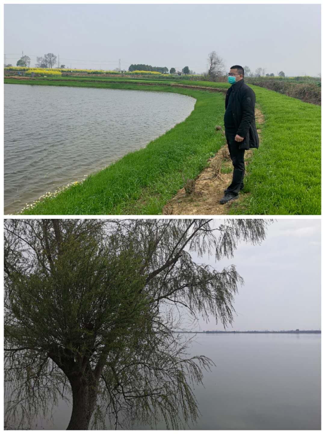 病毒席卷了我们的家园,病毒席卷了世界的每一个角落