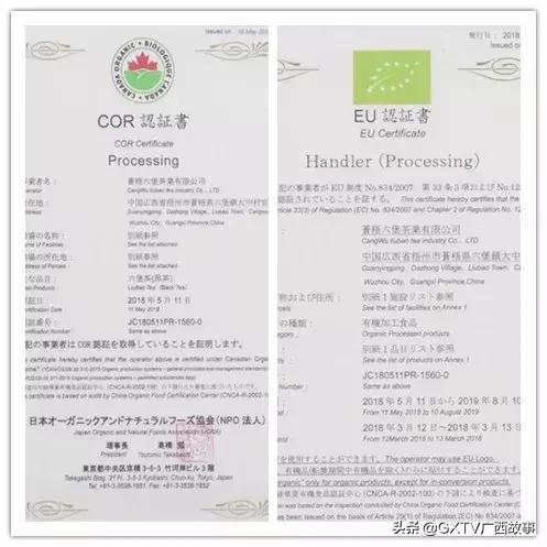 当年下南洋的广西、广东劳工，靠这茶水顶住了艰苦恶劣的环境！