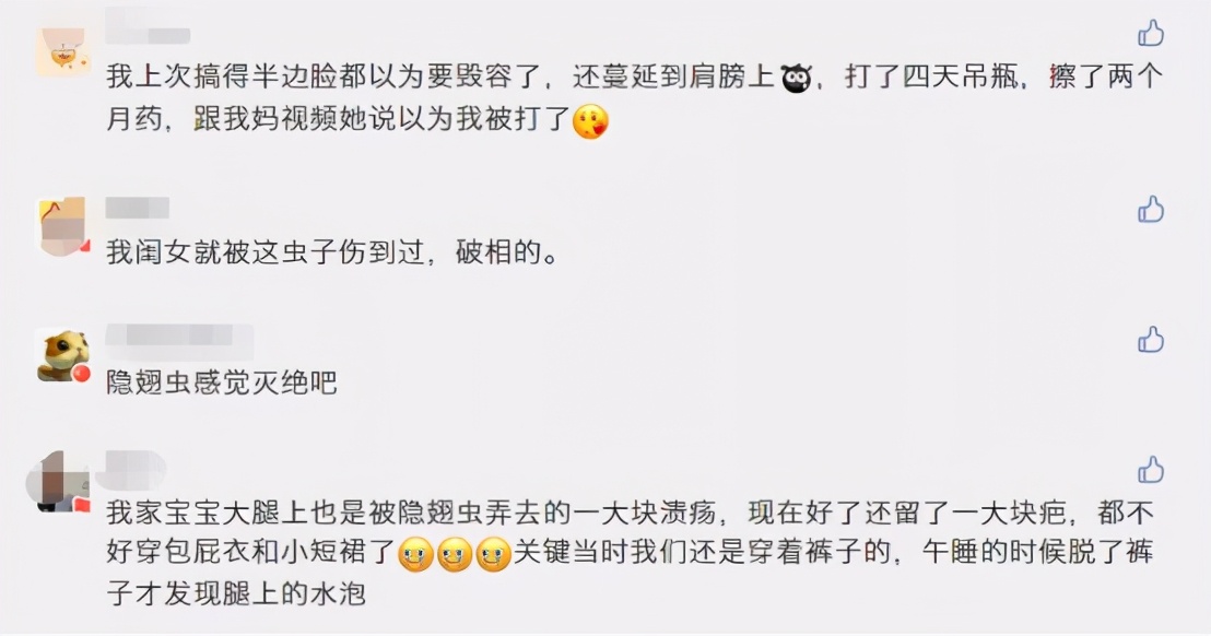 孩子被毒虫咬的伤疤怎么去掉,小孩被毒虫咬了用什么方法解决