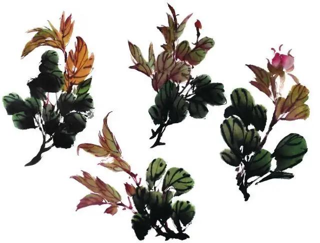 学习写意牡丹画的方法,学习写意牡丹画的步骤