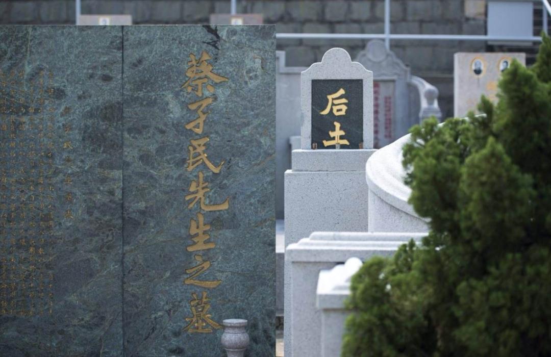 *杀暗**慈禧，怒怼袁世凯，跟孙中山干革命，蔡元培年轻时也太猛了吧