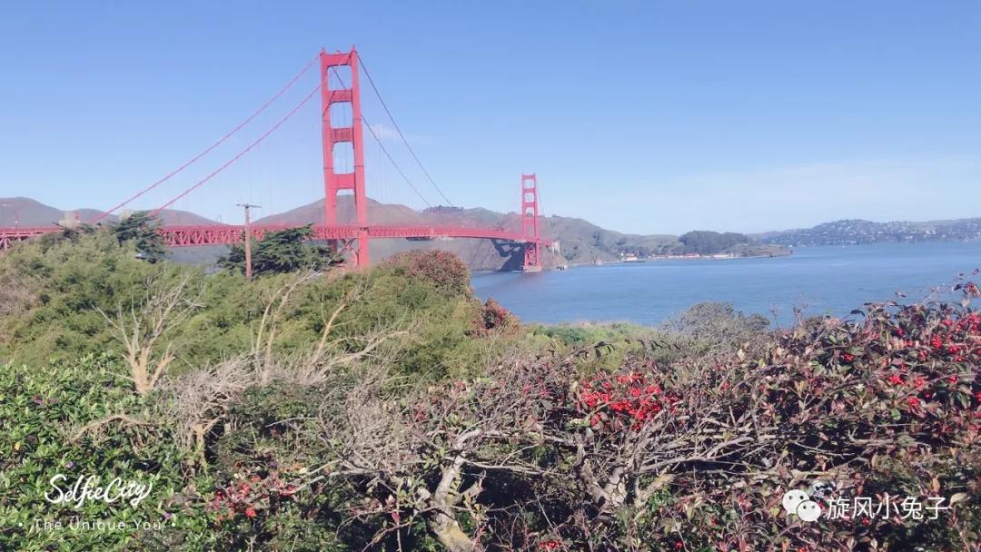 加州沿海1号公路自驾游散装系列（一）：阳光北加的金山依旧