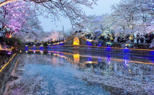 江苏省有哪些5a景区,江苏省有几个5A景区