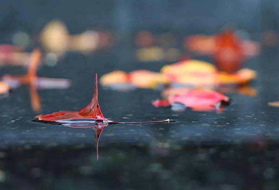 领悟道法自然的句子,道法自然和而不同的句子