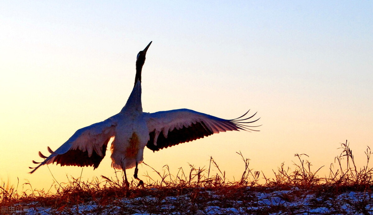 如果报名参军就一定会上战场吗,报考军职文员有前途吗