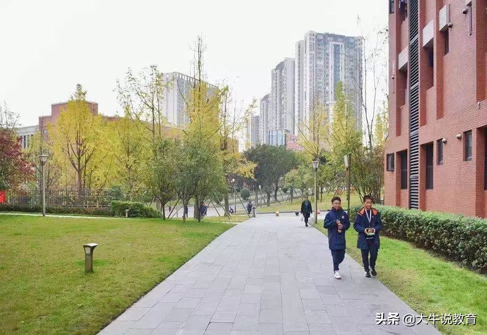 重庆一中高中本部怎么样,重庆一中文科高考排名前50