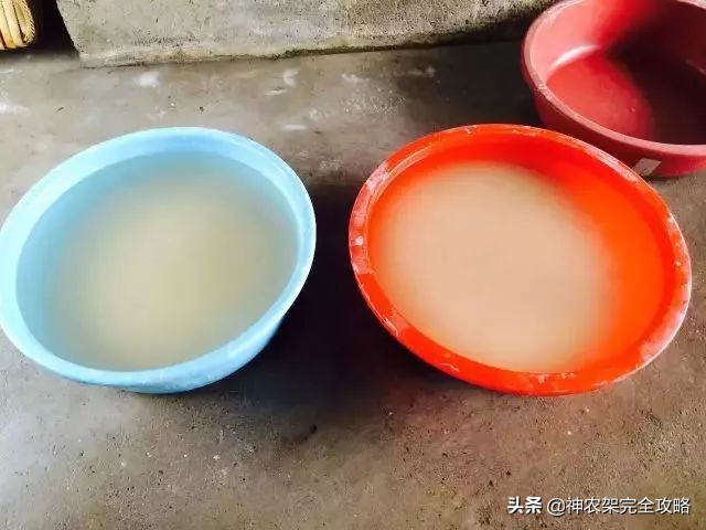 神农架前世今生,神农架祖先是谁