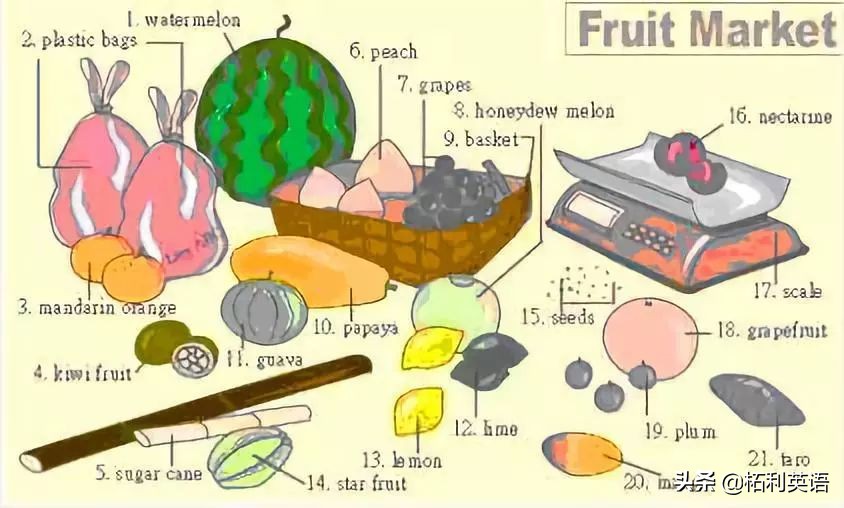 34张图教孩子记住英语中所有生活用词！（收藏版）
