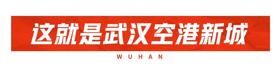 武汉空港新城会展中心,武汉空港国际商务新城最新规划
