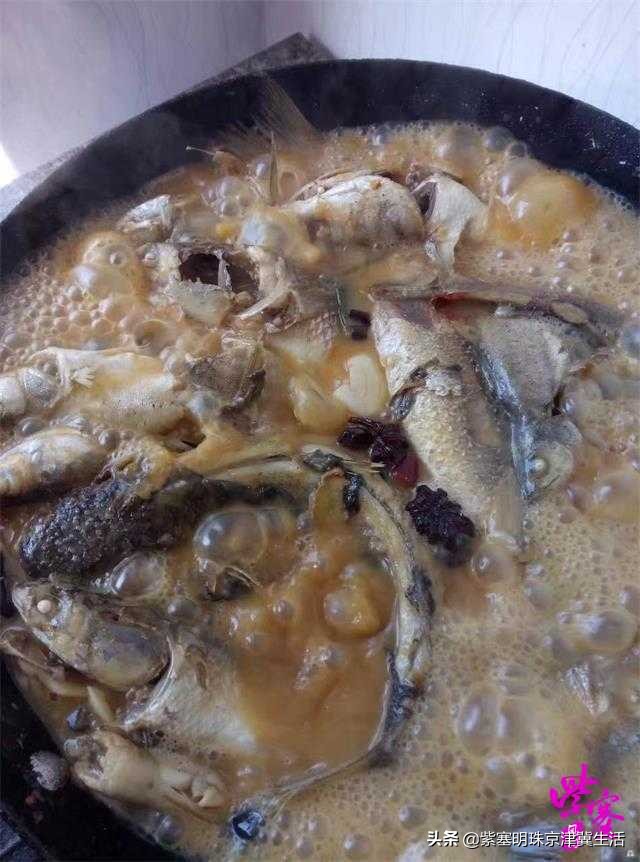 乐亭韩姐农家院价格,韩姐在乐亭农家最新视频