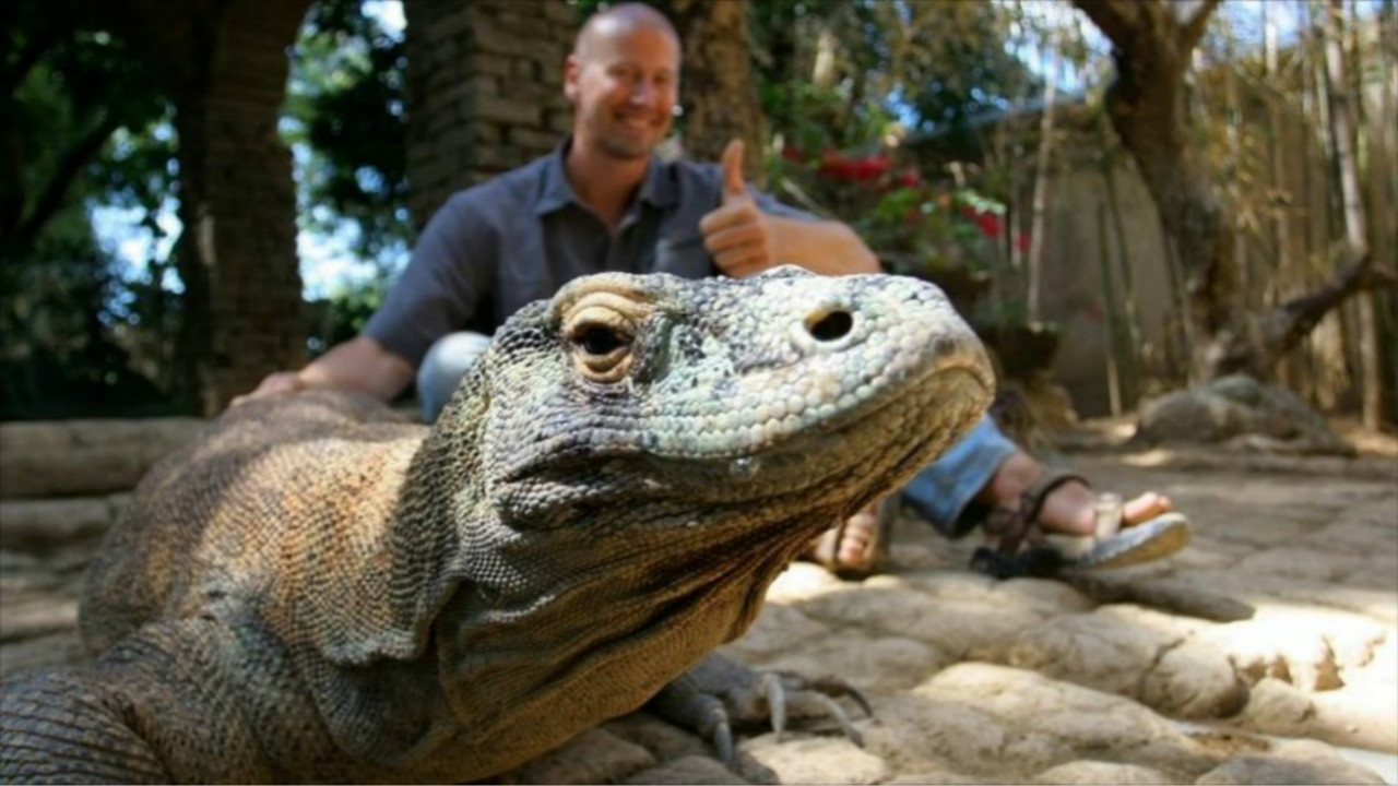 一个成年人被科莫多巨蜥咬了一口，现在的医学水平能救吗？