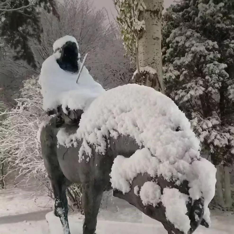 辽宁大学和鲁迅美术学院,辽宁省鲁迅美术学院是985吗