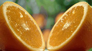 吹爆李佳琦推荐的平价唇膏,无敌滋润,唇炎都能修复