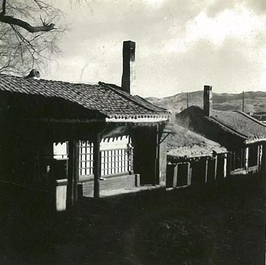 你可能没见过的姓氏,你可能没见过的日语