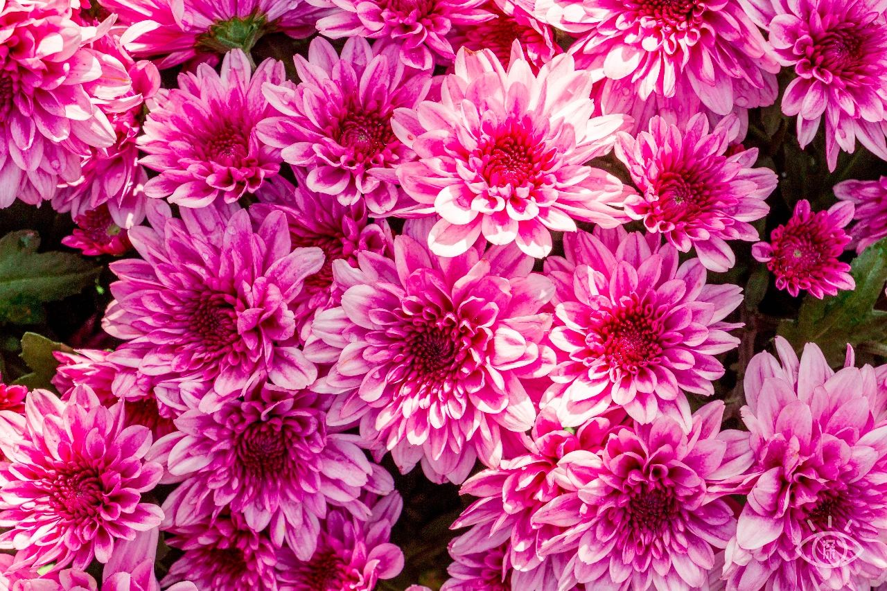 深圳各区最美的地方,深圳6个绝美地方