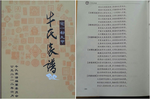 家谱的格式有哪几种,家谱怎么写教学