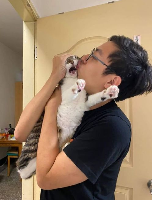 猫咪和主人的温馨时刻,和猫咪快乐的瞬间