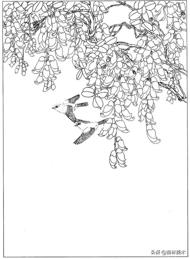 现代国画工笔花鸟白描及完整版,路雨年工笔白描花鸟团扇高清图片