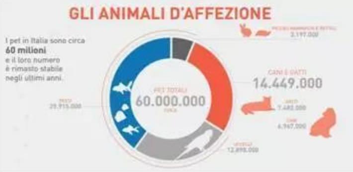 生活在宠物天堂的动物,在天堂的猫狗