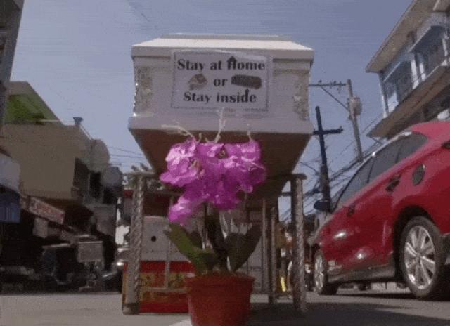 全球各地放松疫情限制,全球各国最新防疫政策