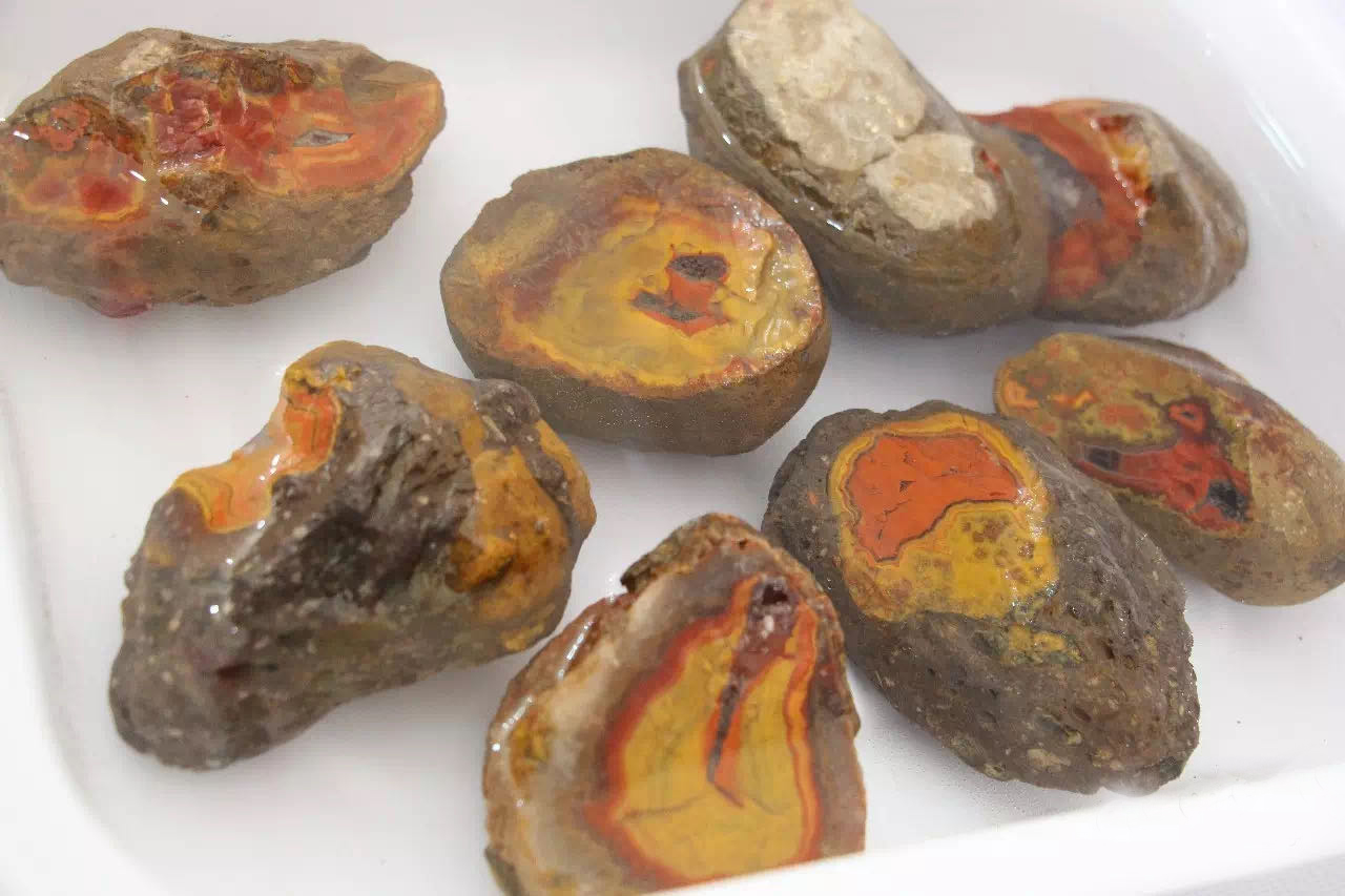 地上捡橄榄石，山上挖“战国红”，走，这个国庆到河北寻宝去