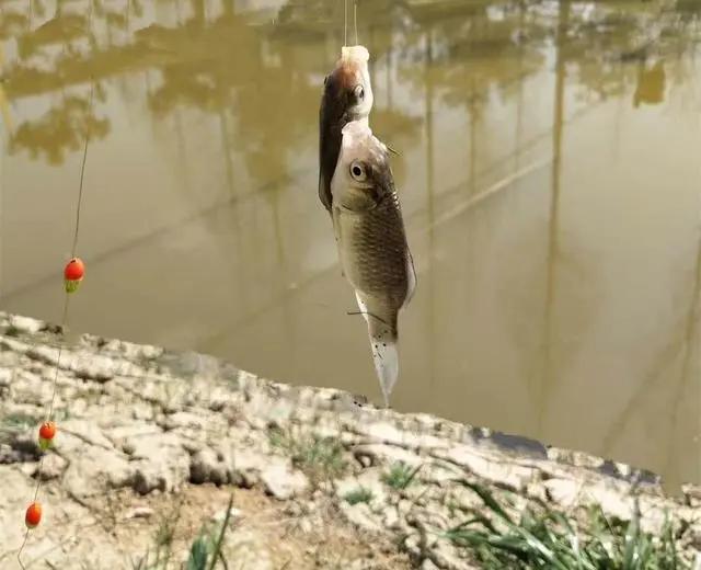 野钓怎么找钓位最简单方法,野钓这三个钓点千万不要选