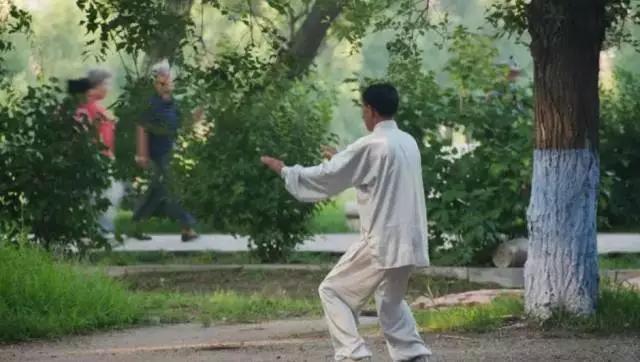 太极最简单的下势教程,太极起势单练3年