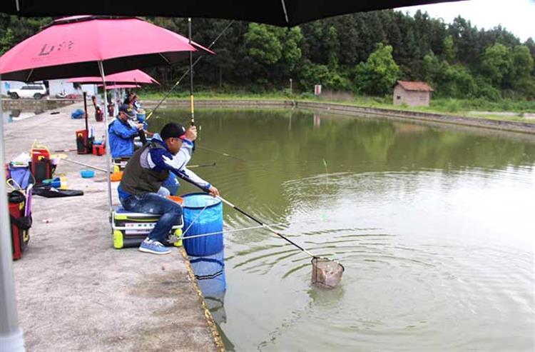 手竿爆炸钩钓鲤鱼,手竿爆炸钩鲤鱼
