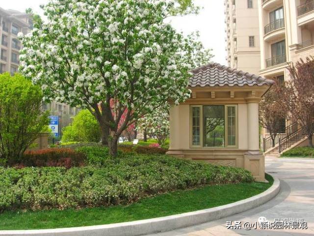 住宅小区植物配置方案,植物种植小技巧一览表图