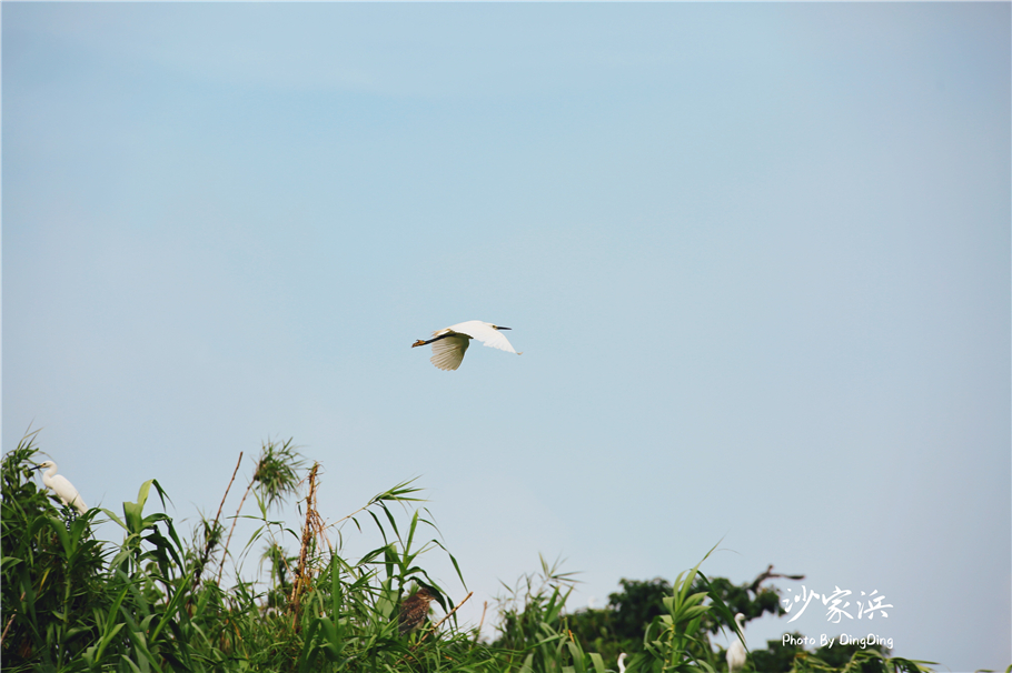 苏州红色革命旅游景点图片,苏州红色革命景点介绍视频