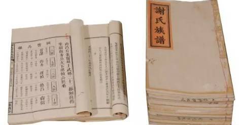 姓氏族谱基本知识,中国姓氏李姓族谱