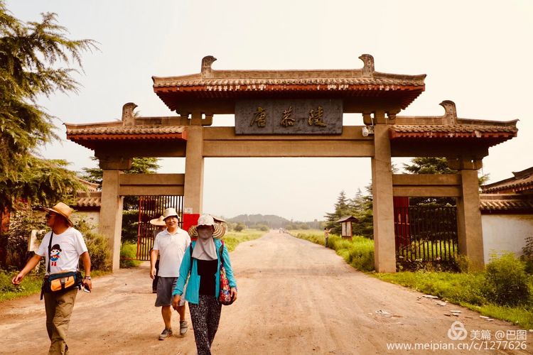 洛阳晚报作品,洛阳晚报2020年