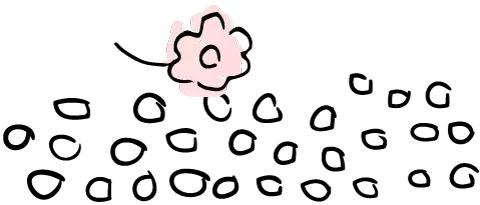 凉山最漂亮的花海,西昌赏花攻略