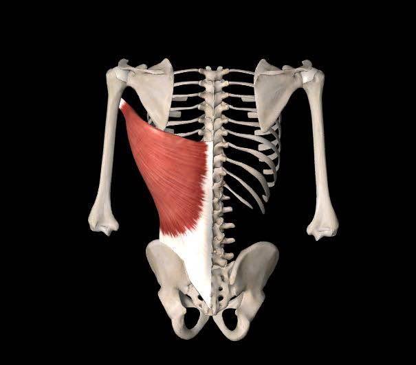 高低肩体态不正怎么办,高低肩感觉不舒服怎么办