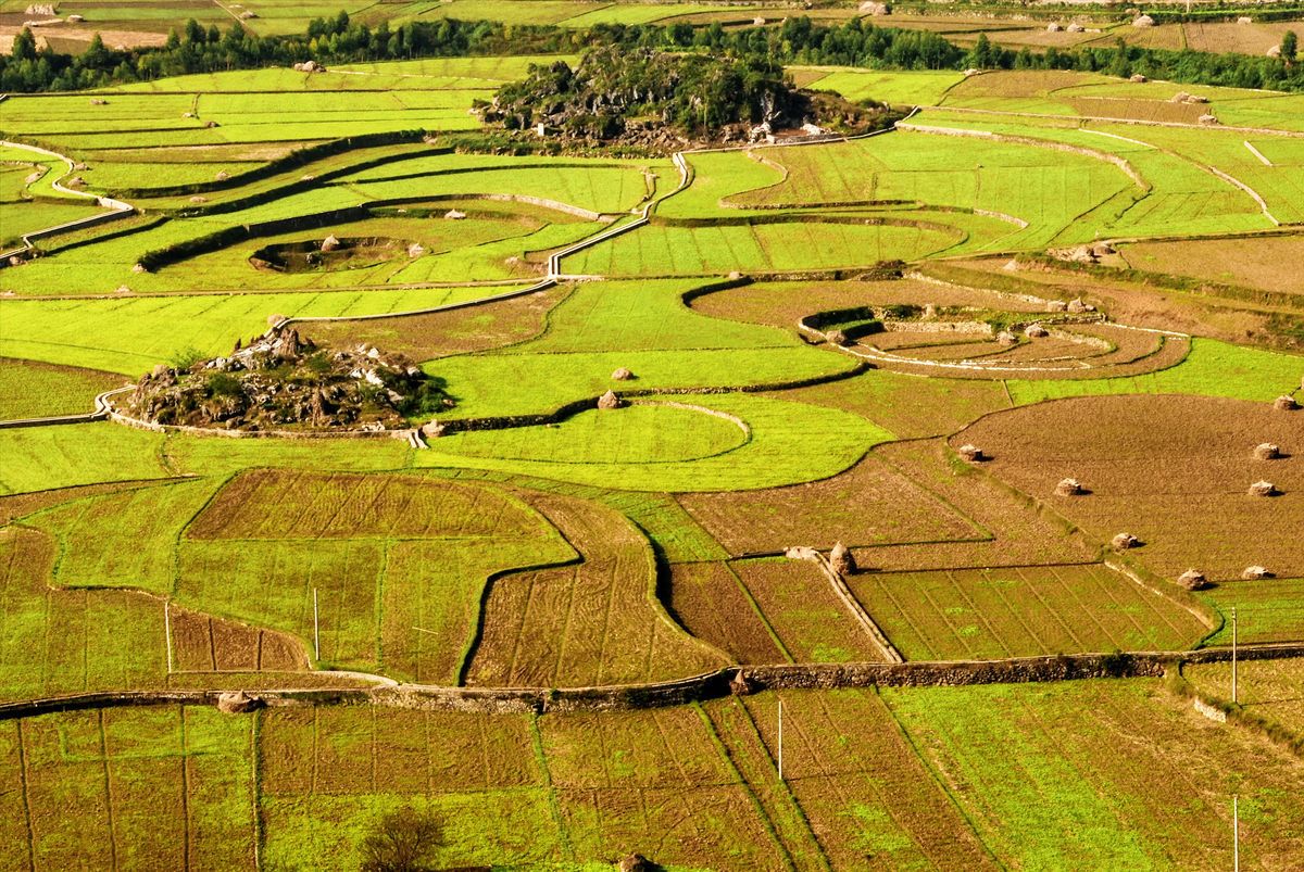 ​农村这“2个证件”即将发放，统一领取要及时，可别耽误了​