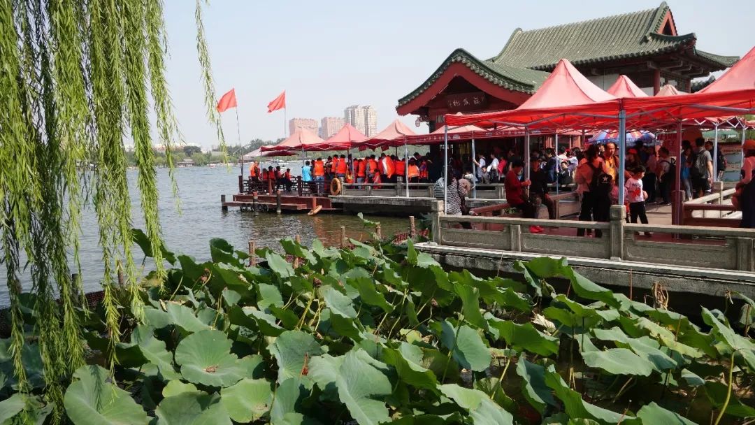 我用了5天时间去感受济南这座城