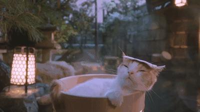 武汉温泉推荐冬季室外,冬天武汉泡温泉