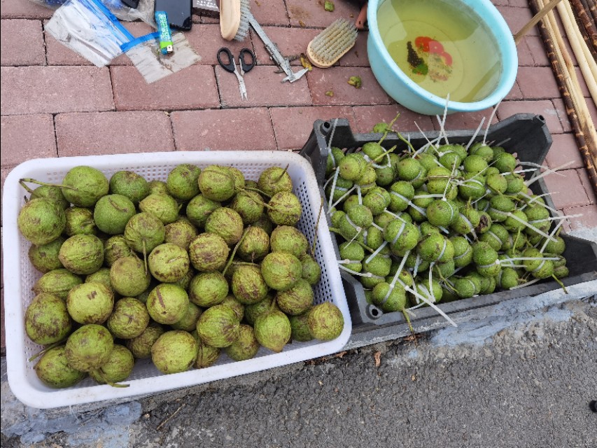 宿在驼梁，感受一种无忧的生活/郝贵云