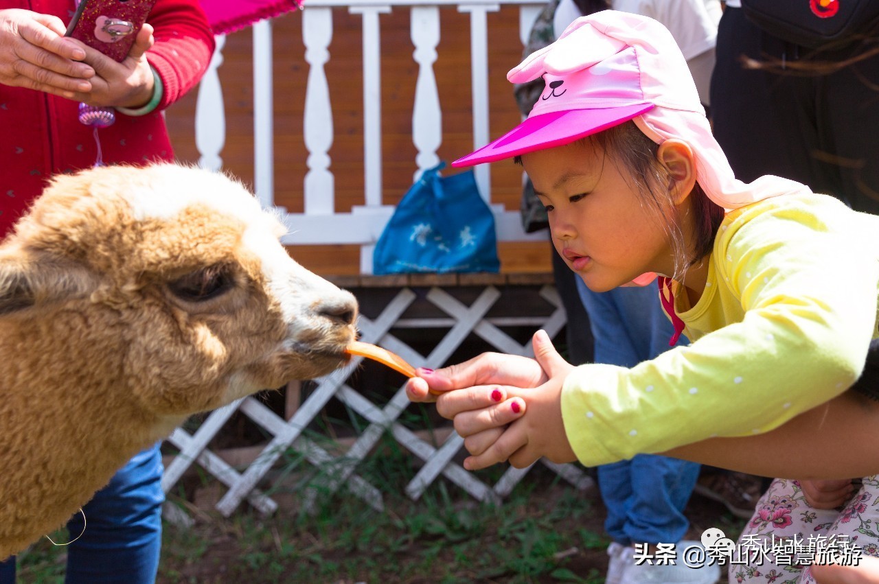 手绘套娃教程,列巴手绘套娃