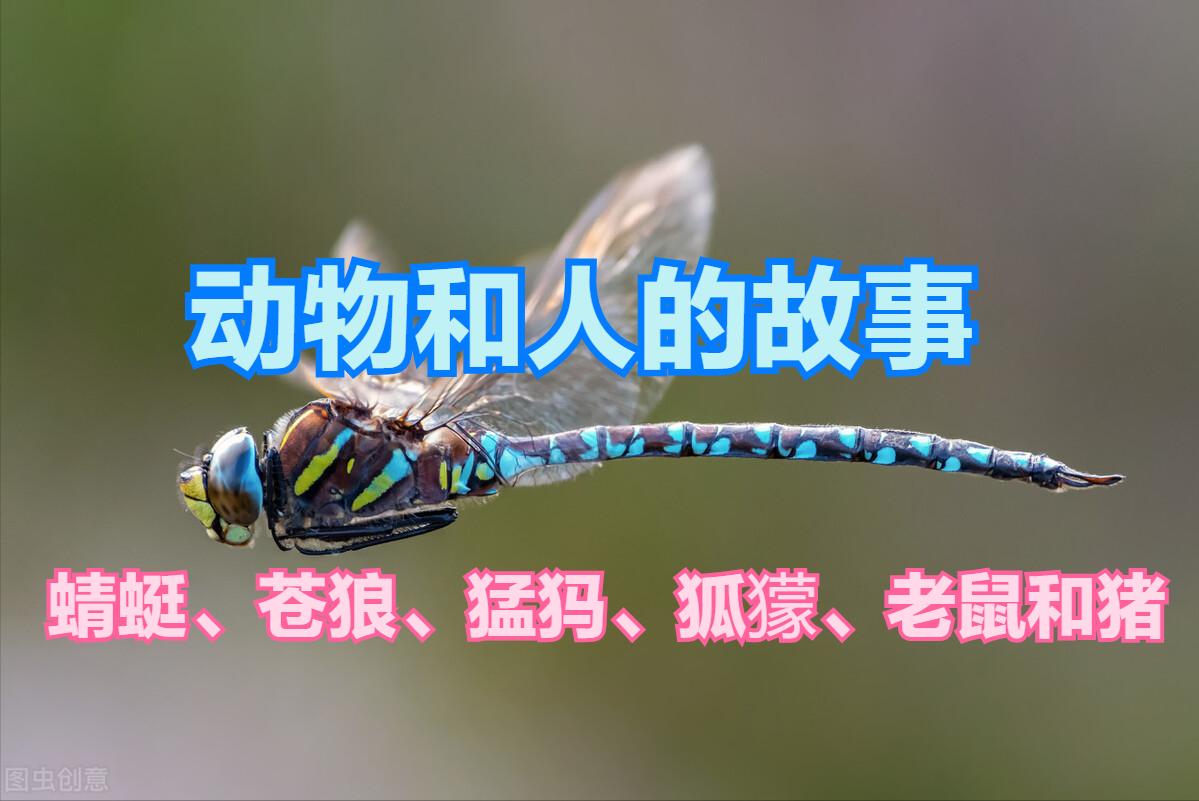 动物和人的故事——蜻蜓、苍狼、猛犸、狐獴、老鼠和猪
