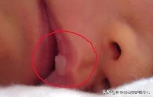 新手爸妈请月嫂要问哪些问题,老月嫂的分享