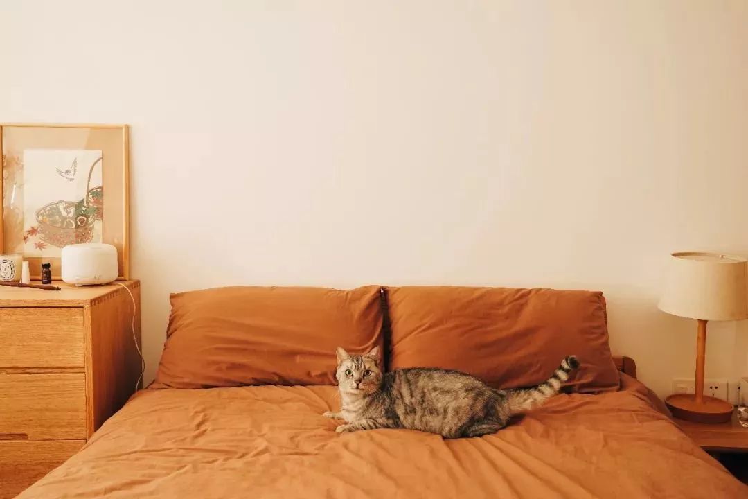 90后花9000元爆改老房子,90后夫妻精心改造精装房