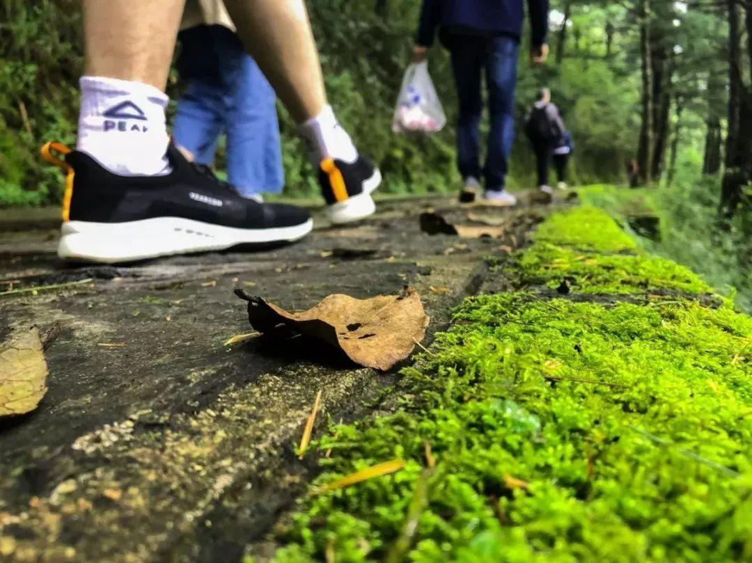 苍山徒步最全攻略｜夏末秋初去大理，苍山碧*欲色**流，洱海烟波浩渺