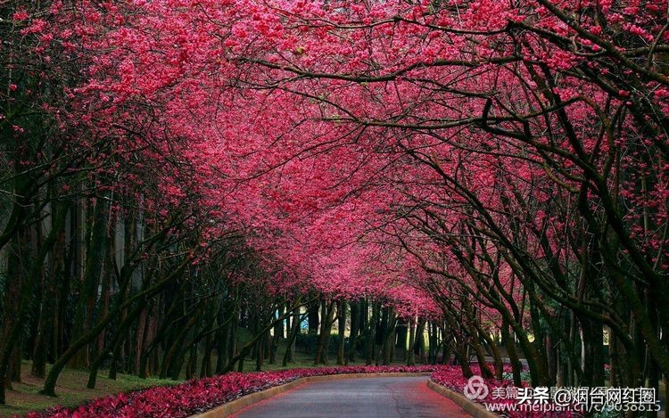 逦迤在乌山脚下，远远地见，邓拓故居院落边上，黛瓦白墙下