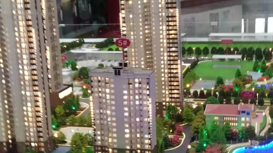 做个乖乖崽,做个乖乖的狗