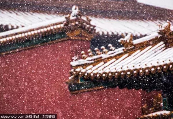 细赏颐和园之秋色冬韵,让我们看看冬日颐和园的美景