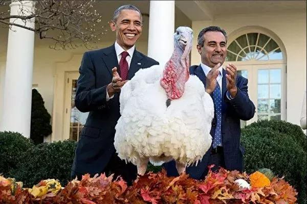 涨知识共同成长,涨知识齐参与